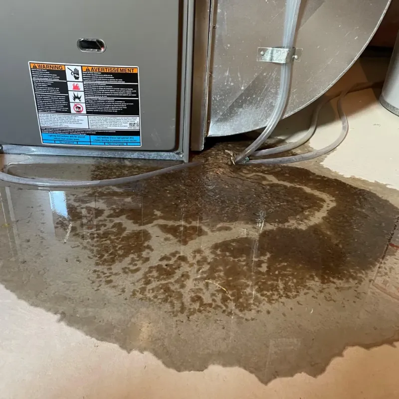 Appliance Leak Cleanup in Abernathy, TX