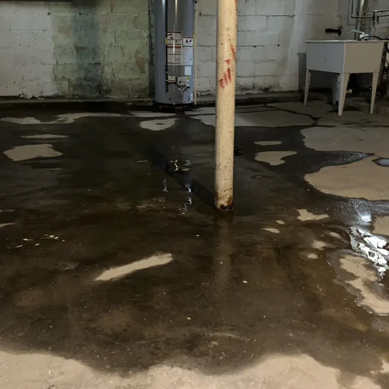 Emergency Water Extraction And Removal in Abernathy, TX